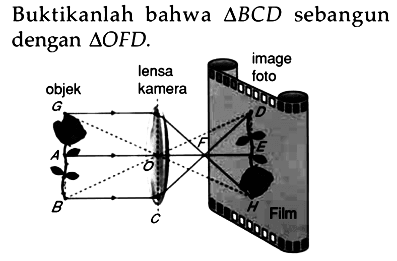 Buktikanlah bahwa segitiga BCD sebangun dengan  segitiga OFD.
objek lensa kamera A B C D E F G H O image foto film 