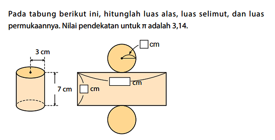 Pada tabung berikut ini, hitunglah luas alas, luas selimut, dan luas permukaannya. Nilai pendekatan untuk pi adalah 3,14. 3 cm 7 cm cm cm cm