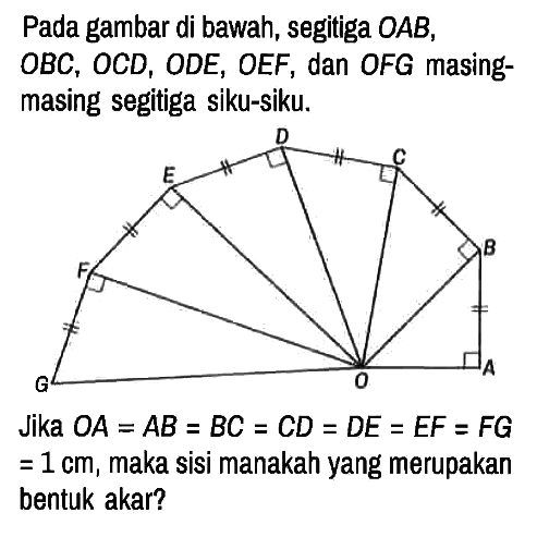 Pada gambar di bawah, segitiga OAB, OBC, OCD, ODE, OEF, dan OFG masing-masing segitiga siku-siku.
G F E D B C A O

Jika OA=AB=BC=CD=DE=EF=FG=1 cm , maka sisi manakah yang merupakan bentuk akar?