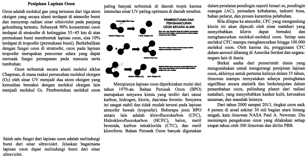 Salah satu fungsi dari lapisan ozon adalah melindungi bumi dari sinar ultraviolet. Jelaskan bagaimana lapisan ozon dapat melindungi bumi dari sinar ultraviolet.