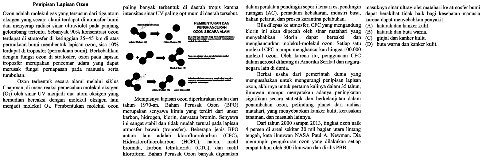 Penipisan Lapisan Ozon Ozon adalah molekul gas yang tersusun dari tiga atom oksigen yang secara alami terdapat di atmosfer bumi dan menyerap radiasi sinar ultraviolet pada panjang gelombang tertentu. Sebanyak 90% konsentrasi ozon terdapat di stratosfer di ketinggian 35 - 45 km di atas permukaan bumi membentuk lapisan ozon, sisa 10% terdapat di troposfer (permukaan bumi). Berkebalikan dengan fungsi ozon di stratosfer, ozon pada lapisan troposfer merupakan pencemar udara yang dapat merusak fungsi pernapasan pada manusia serta tumbuhan. Ozon terbentuk secara alami melalui siklus Chapman, di mana reaksi pemecahan molekul oksigen (O2) oleh sinar UV menjadi dua atom oksigen yang kemudian bereaksi dengan molekul oksigen lain menjadi molekul O3. Pembentukan molekul ozon paling banyak terbentuk di daerah tropis karena intensitas sinar IV paling optimum di daerah tersebut. Pembentukan dan Penghancuran Ozon Secara Alami Radiasi Sinar Ultra Ungu Molekul Oksigen (O2) - > 2 Atom Oksigen (O) Sinar ultra ungu intensitas tinggi dari matahari - > Molekul Ozon (O3) - > Molekul Oksigen (O2) Atom oksigen (O) Menipisnya lapisan ozon diperkirakan mulai dari tahun 1970-an. Bahan perusak Ozon (BPO) merupakan senyawa kimia yang terdiri dari unsur karbon, hidrogen, klorin, dan/atau bromin. Senyawa ini sangat stabil dan tidak mudah terurai pada lapisan atmosfer bawah (troposfer). Beberapa jenis BPO antara lain adalah klorofluorokarbon (CFC), Hidroklorofluorokarbon (HCFC), halon, metil bromida, karbon tetraklorida (CTC), dan metil kloroform. Bahan Perusak Ozon banyak digunakan dalam peralatan pendingin seperti lemari es, pendingin ruangan (AC), pemadam kebakaran, industri busa, bahan pelarut, dan proses karantina pelabuhan. Bila dilepas ke atmosfer, CFC yang mengandung klorin ini akan dipecah oleh sinar matahari yang menyebabkan klorin dapat bereaksi dan menghancurkan molekul - molekul ozon. Setiap satu molekul ozon. Oleh karena itu, penggunaan CFC dalam aerosol dilarang di Amerika Serikat dan negara - negara lain di dunia. Berkat usaha dari pemerintah dunia yang mengusahakan untuk mengurangi penipisan lapisan ozon, akhirnya untuk pertama kalinya dalam 35 tahun, ilmuwan mampu menyatakan adanya peningkatan signifikan secara statistik dan berkelanjutan dalam penambahan ozon, pelindung planet dari radiasi matahari, yang menyebabkan kanker kulit, kerusakan tanaman, dan masalah lainnya. Dari tahun 2000 sampai 2013, tingkat ozon naik 4 persen di aeral sekitar 30 mil bagian utara lintang tengah, kata ilmuwan Nasa Paul A. Newman. Dia memimpin pengukuran ozon yang dilakukan setiap empat tahun oleh 300 ilmuwan dan dirilis PBB. Masuknya sinar ultraviolet matahari ke atmosfer bumi dapat berakibat tidak baik bagi kesehatan manusia karena dapat menyebabkan penyakit 