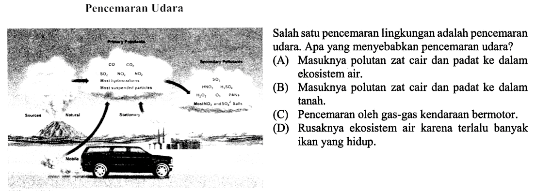 Pencemaran Udara Primary Pollutans CO CO SO2 NO2 NO2 Most Hydrocarbons Most suspend particies Secondary Pollutans SO2 HNO2 H2SO4 H202 Sources Natural Stationary Mobile 

Salah satu pencemaran lingkungan adalah pencemaran udara. Apa yang menyebabkan pencemaran udara? 