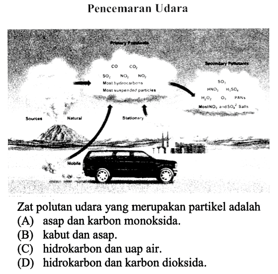 Pencemaran Udara
Zat polutan udara yang merupakan partikel adalah