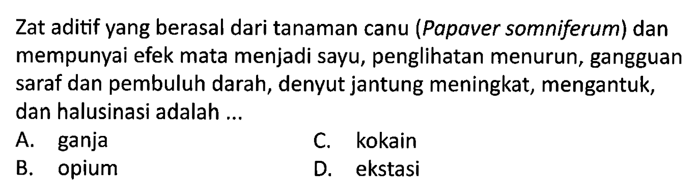 Zat aditif yang berasal dari tanaman canu (Papaver somniferum) dan mempunyai efek mata menjadi sayu, penglihatan menurun, gangguan saraf dan pembuluh darah, denyut jantung meningkat, mengantuk, dan halusinasi adalah ...
A. ganja
C. kokain
B. opium
D. ekstasi