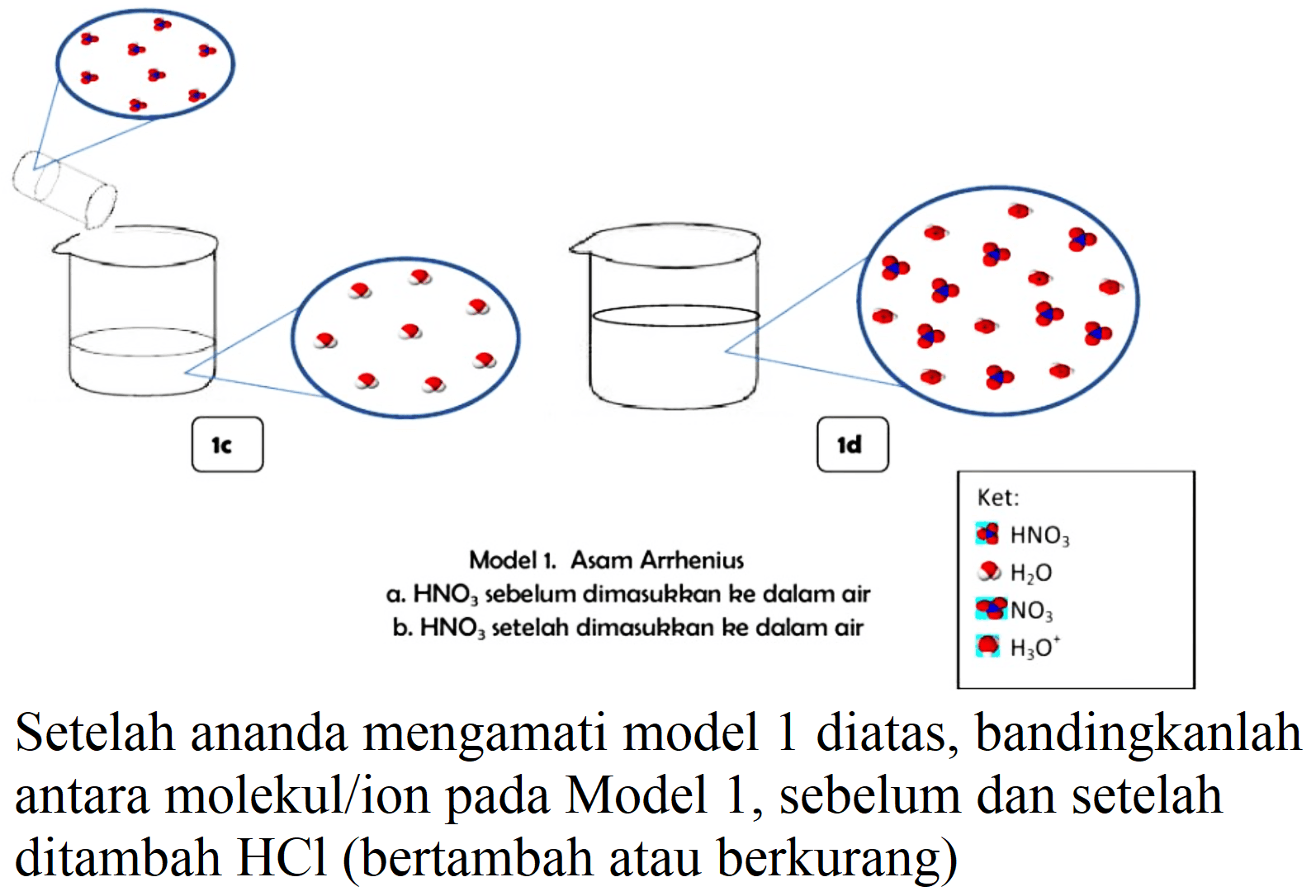 Ket: 
  HNO3  
  H2 O  
 8 NO4  
  H2 O^(+)  


Setelah ananda mengamati model 1 diatas, bandingkanlah antara molekul/ion pada Model 1, sebelum dan setelah ditambah  HCl  (bertambah atau berkurang)