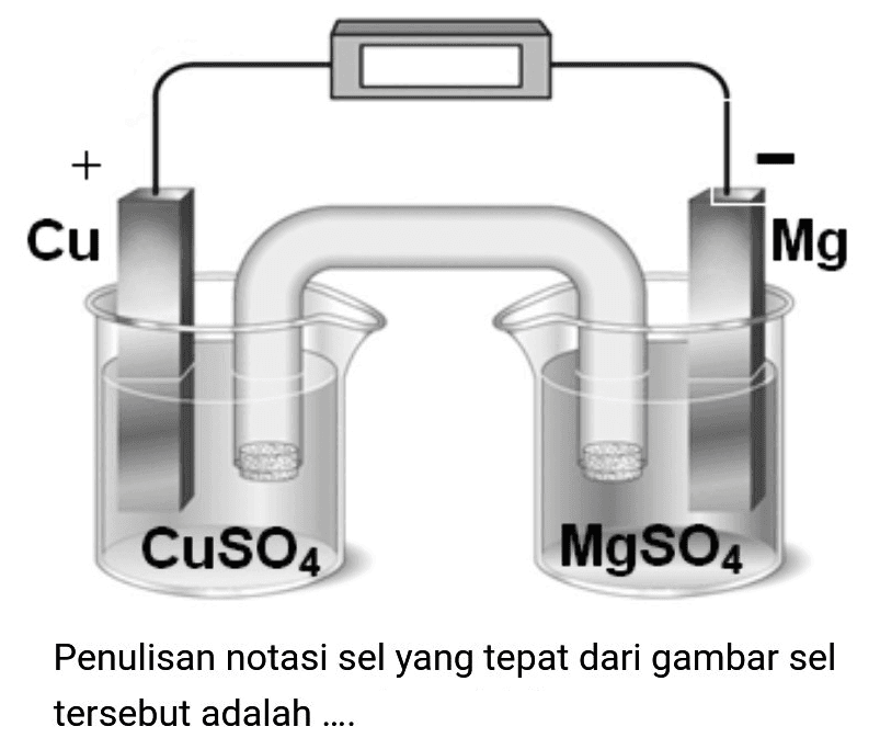 Penulisan notasi sel yang tepat dari gambar sel tersebut adalah ...