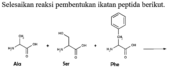 Selesaikan reaksi pembentukan ikatan peptida berikut.
NH2 CH3 O OH Ala + OH NH2 O OH + NH2 CH2 O OH Phe - > 