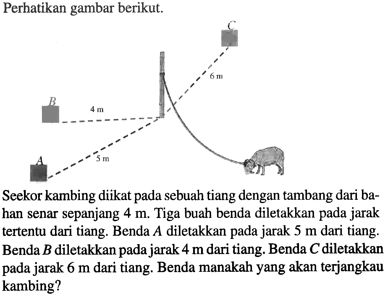 Seekor kambing diikat pada sebuah tiang dengan tambang dari ba-han senar sepanjang 4 m. Tiga buah benda diletakkan pada jarak tertentu dari tiang: Benda A diletakkan pada jarak 5 m dari tiang: Benda B diletakkan pada jarak 4 m dari tiang Benda C diletakkan pada jarak 6 m dari tiang. Benda manakah yang akan terjangkau kambing?