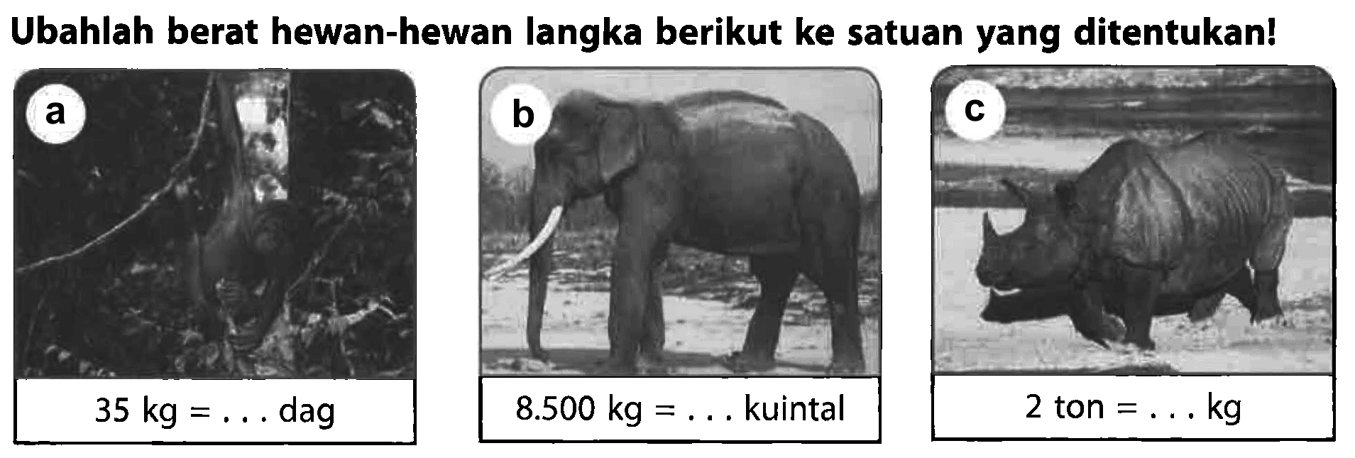 Ubahlah berat hewan-hewan langka berikut ke satuan yang ditentukan!
 a. 35 kg = . . . dag
 b. 8.500 kg = . . . kuintal
 c. 2 ton = . . . kg