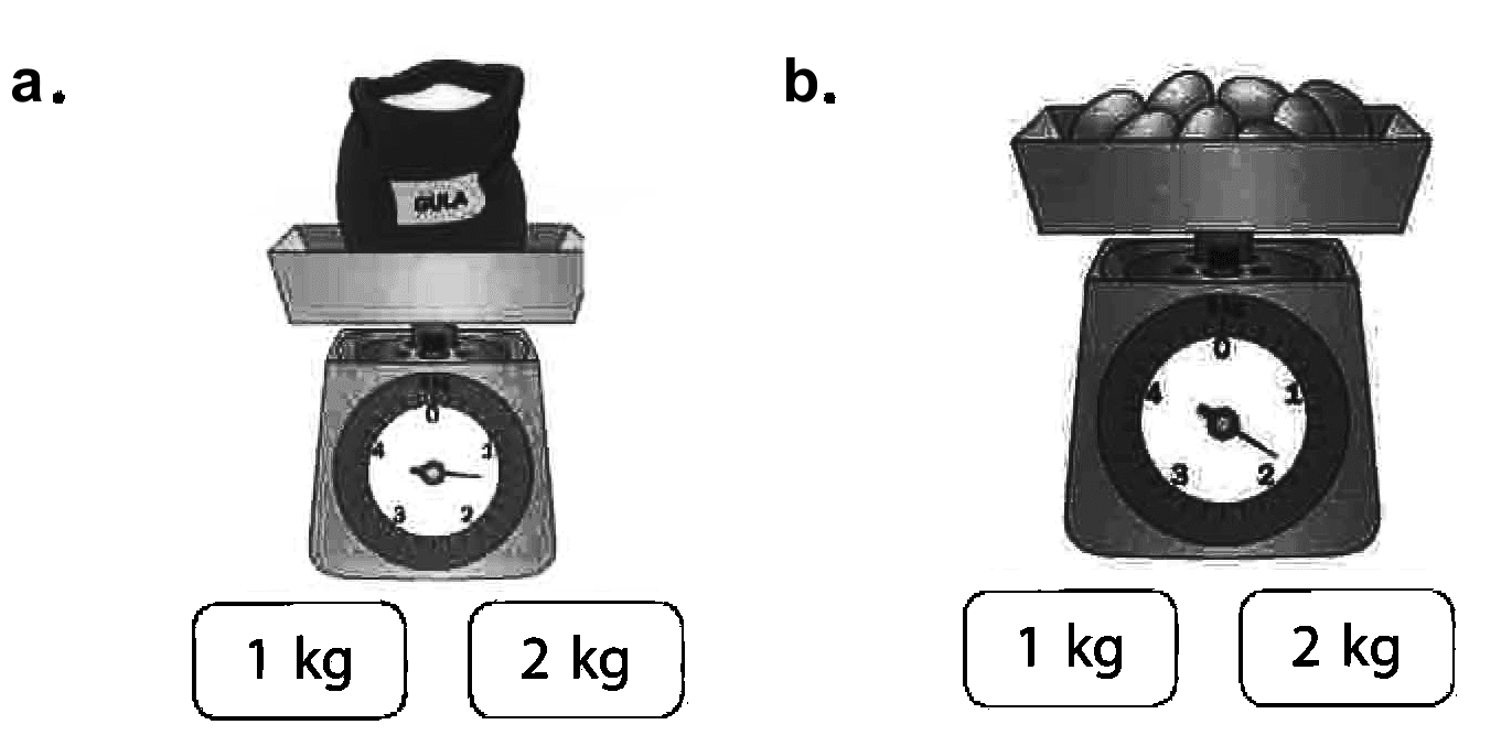 a. 1 kg 2 kg b. 1 kg 2kg