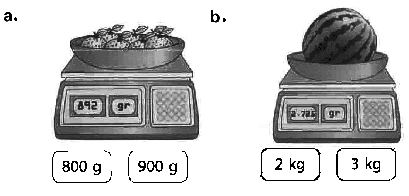 a. 800 g 900 g b. 2 kg 3 kg