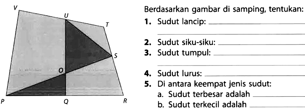 P Q R S T U V O
Berdasarkan gambar di samping, tentukan:
1. Sudut lancip: ______________
2. Sudut siku-siku:  ______________
3. Sudut tumpul:  ______________
4. Sudut lurus:  ______________
5. Di antara keempat jenis sudut:
a. Sudut terbesar adalah  ______________
b. Sudut terkecil adalah  ______________