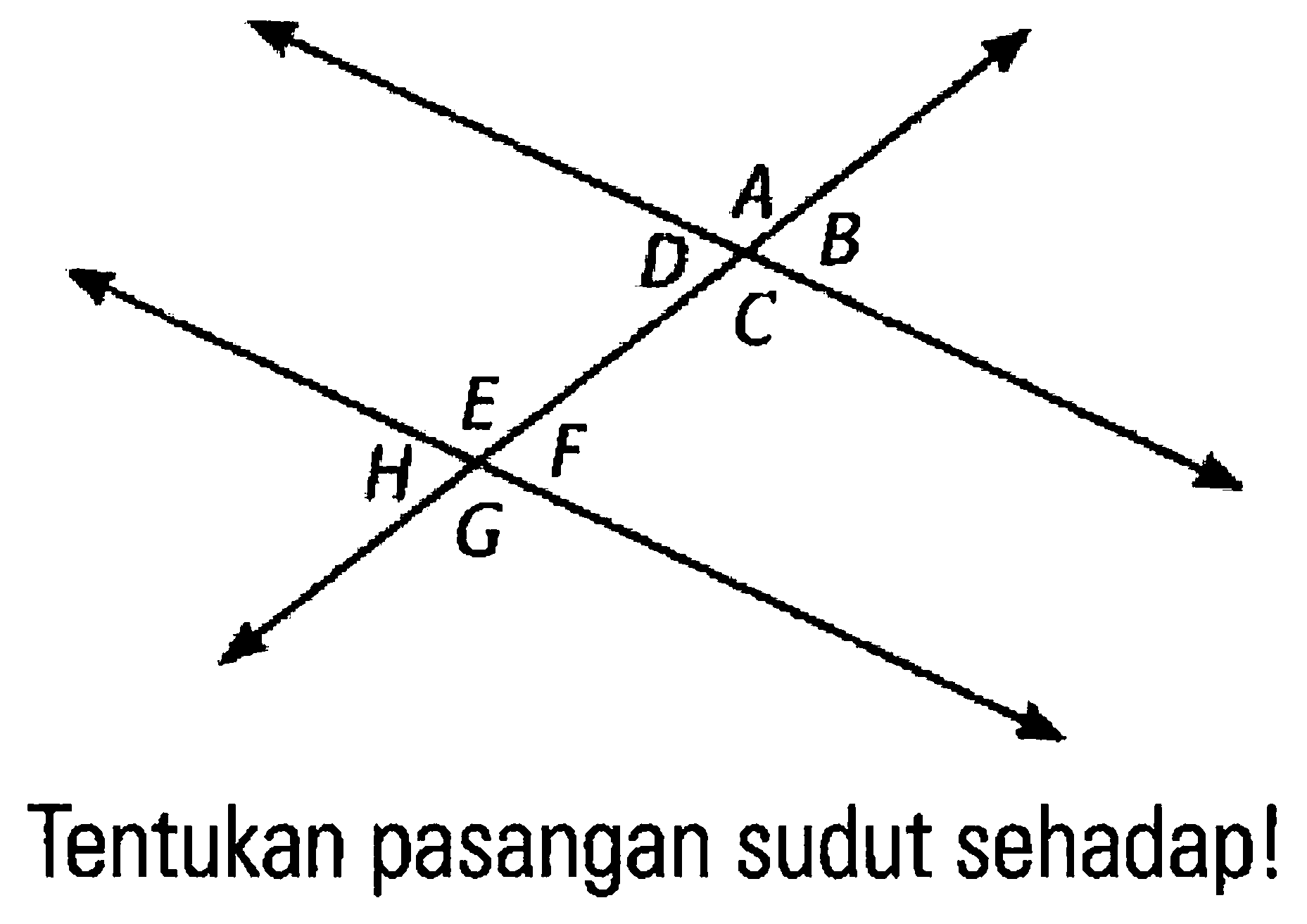 A B C D E F G H
Tentukan pasangan sudut sehadap!
