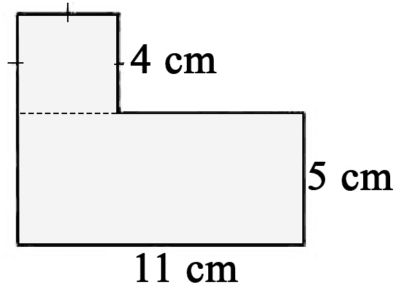  4 cm 
 5 cm 
 11 cm 