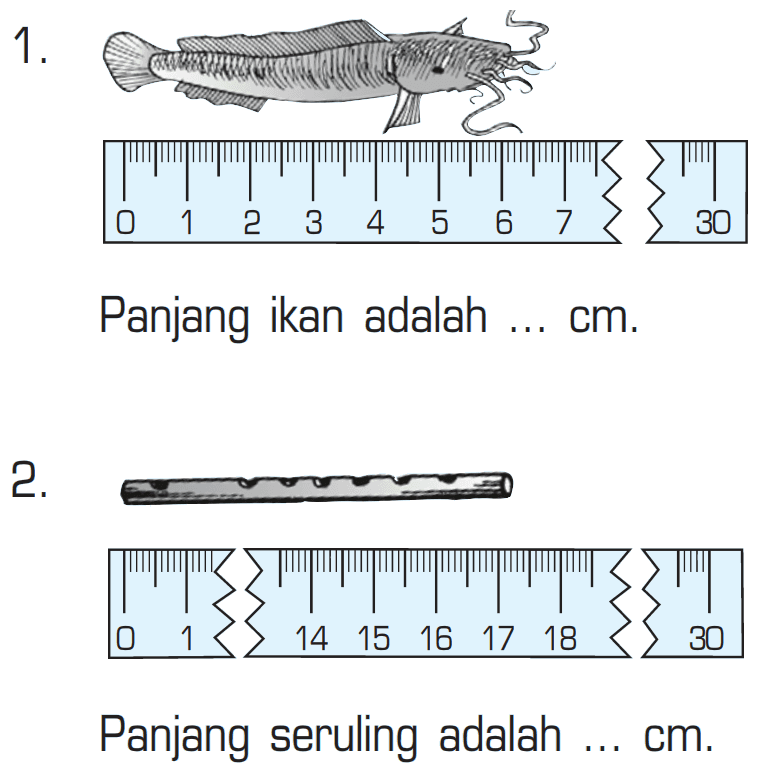 1. Panjang ikan adalah .... cm. 2. Panjang seruling adalah ... cm