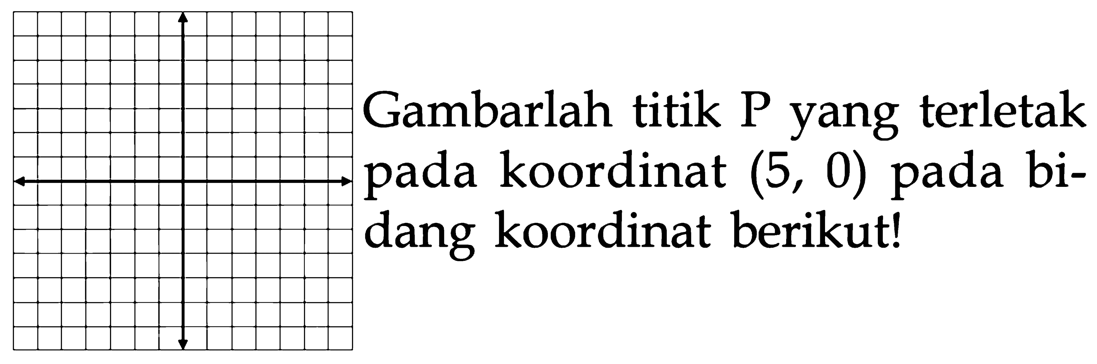 Gambarlah titik P yang terletak pada koordinat (5,0) pada bidang koordinat berikut! 