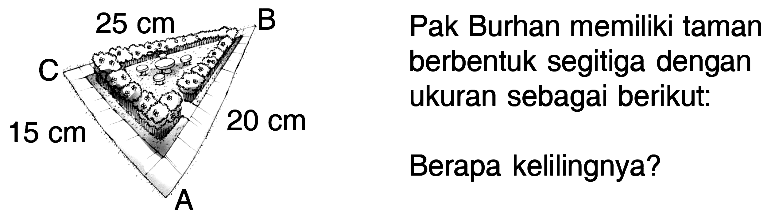 Pak Burhan memiliki taman berbentuk segitiga dengan ukuran sebagai berikut : Berapa kelilingnya? A 15 cm C 25 cm B 20 cm