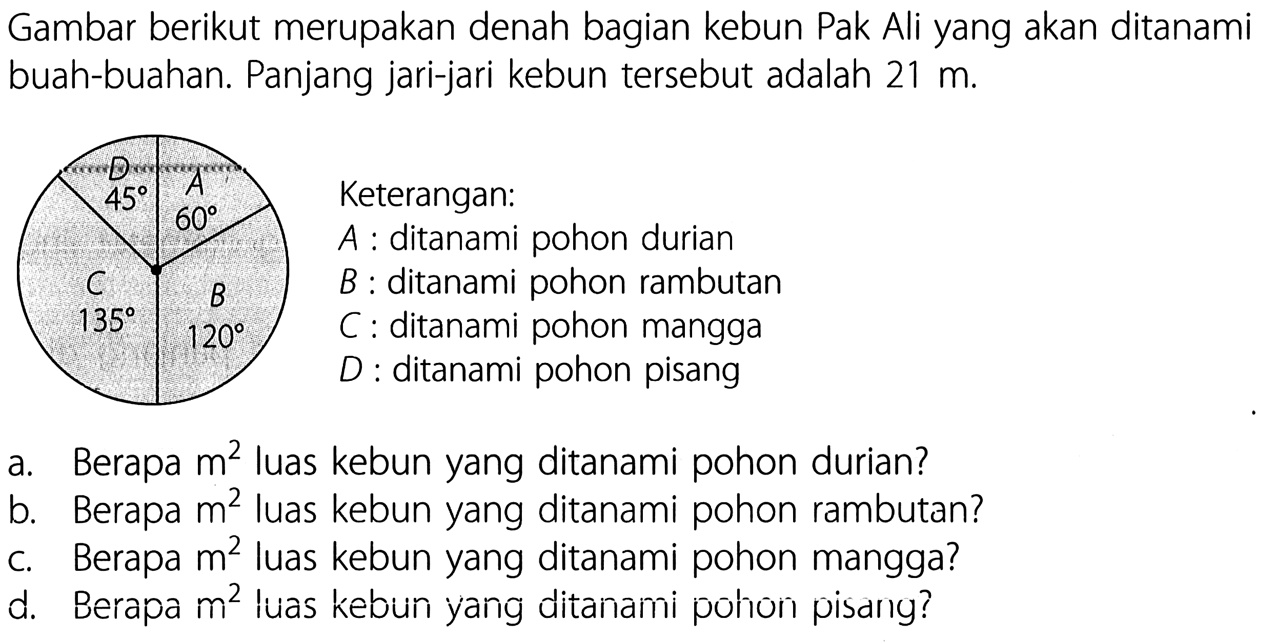 Gambar berikut merupakan denah bagian kebun Pak Ali yang akan ditanami buah-buahan. Panjang jari-jari kebun tersebut adalah 21 m. D 45 A 60 C 135 B 120 Keterangan: A:ditanami pohon durian B:ditanami pohon rambutan C:ditanami pohon mangga D:ditanami pohon pisang
a. Berapa m^2 luas kebun yang ditanami pohon durian?
b. Berapa m^2 luas kebun yang ditanami pohon rambutan?
c. Berapa m^2 luas kebun yang ditanami pohon mangga?
d. Berapa m^2 luas kebun yang ditanami pohon pisang?