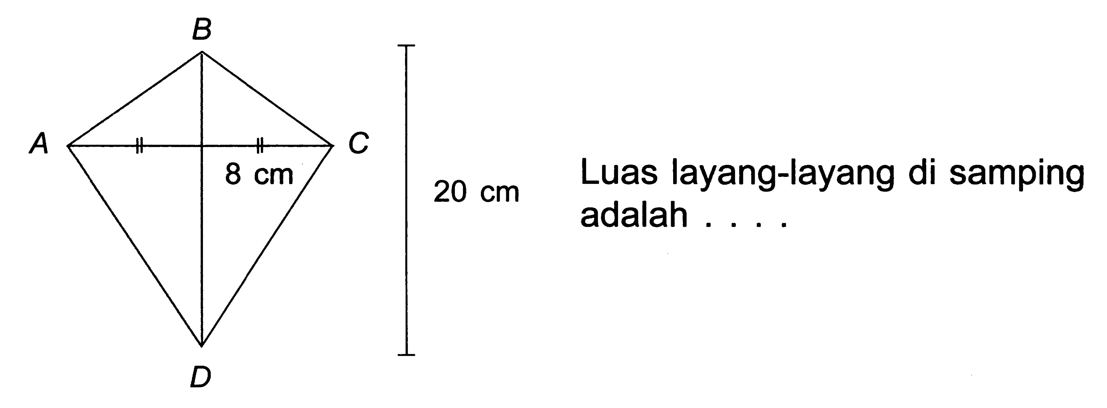 Luas layang-layang di samping adalah ....