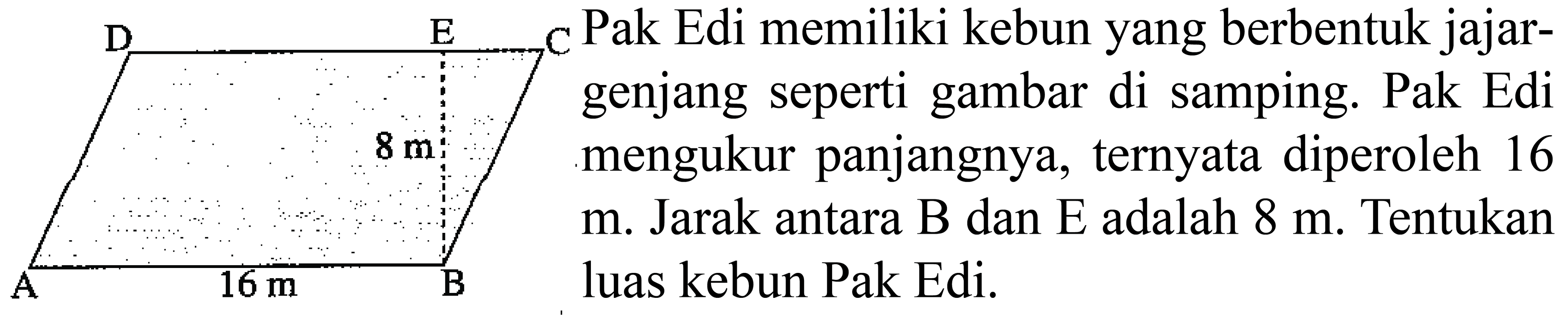 (:c:c)D  E  (l) { Pak Edi memiliki kebun yang berbentuk jajar- )   { genjang seperti gambar di samping. Pak Edi )   { mengukur panjangnya, ternyata diperoleh ) 16   { m. Jarak antara B dan E adalah ) 8 m .  { Tentukan )   { luas kebun Pak Edi. )  (l) { A m )   { A )