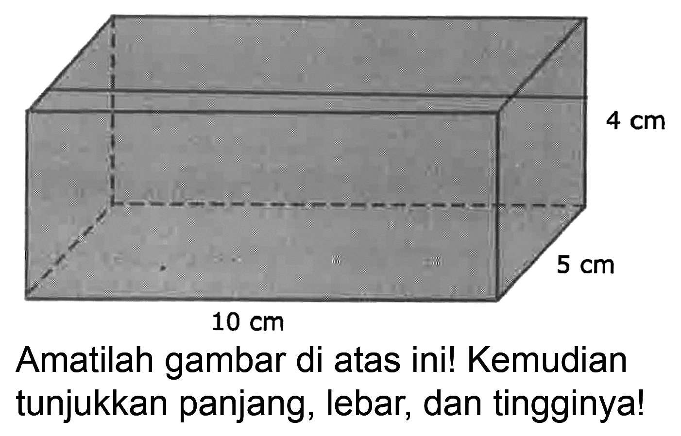 4 cm 5 cm 10 cm 
Amatilah gambar di atas ini! Kemudian tunjukkan panjang, lebar, dan tingginya!