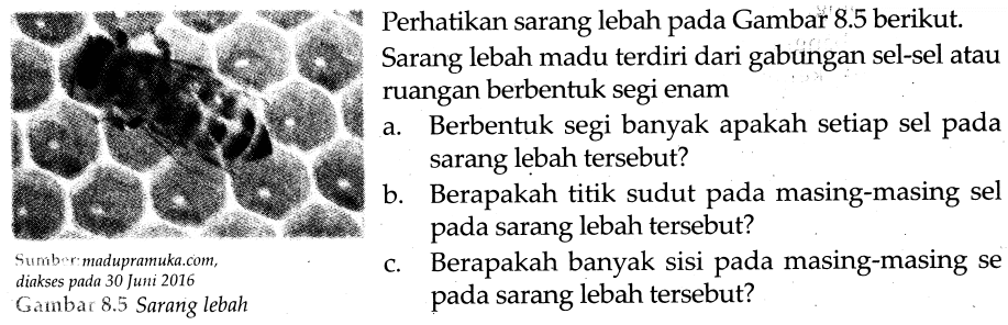 Perhatikan sarang lebah pada Gambar 8.5 berikut Sarang lebah madu terdiri dari gabungan sel-sel atau ruangan berbentuk segi enam a. Berbentuk segi banyak apakah setiap sel pada sarang lebah tersebut? b. Berapakah titik sudut pada masing-masing sel pada sarang lebah tersebut? c. Berapakah banyak sisi pada masing-masing sel pada sarang lebah tersebut? Sumber : madupramuka.com diakses pada 30 Juni2016 Gambar 8.5 Sarang lebah