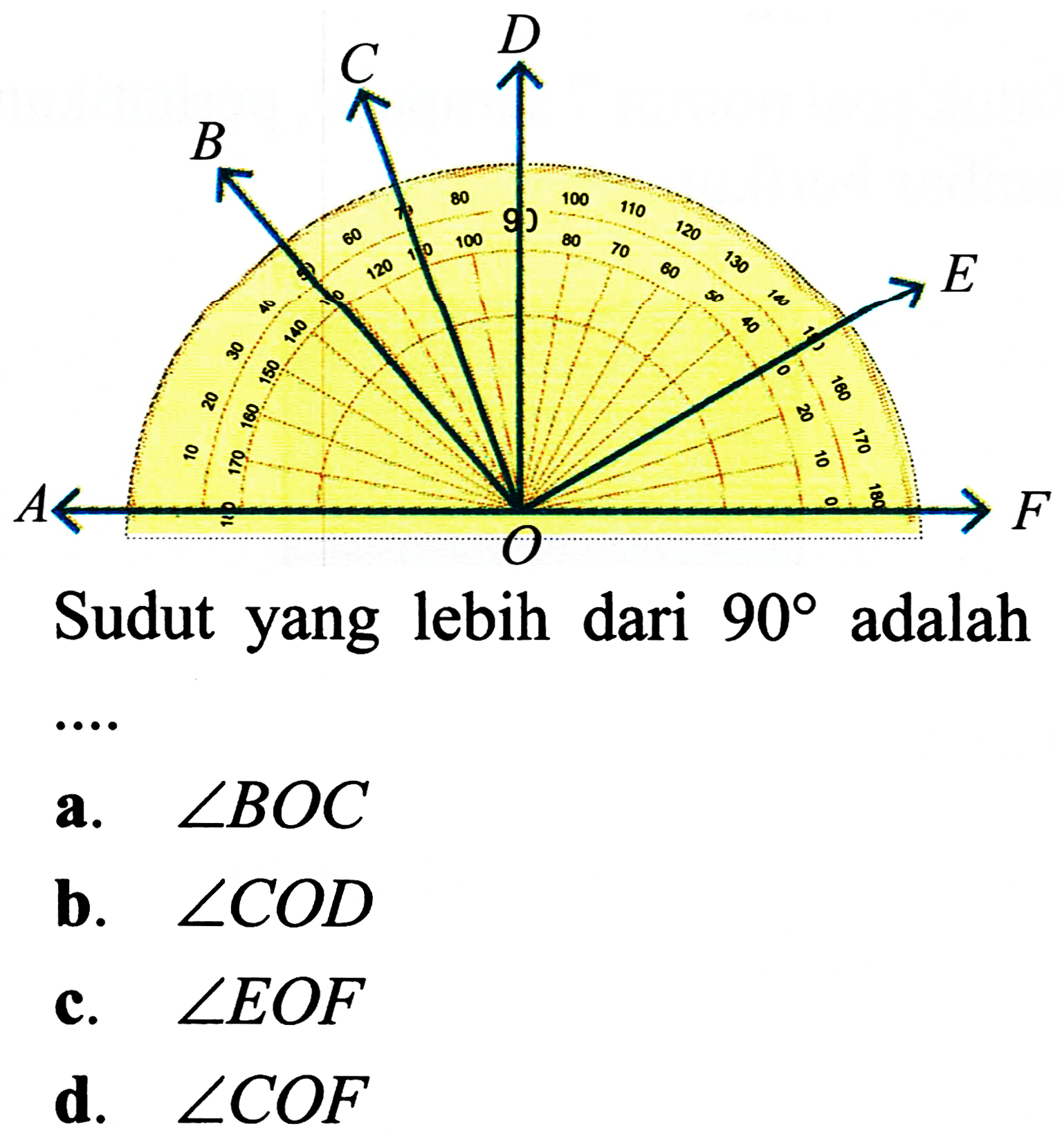 Sudut yang lebih dari  90  adalah
a.  sudut B O C 
b.  sudut C O D 
c.  sudut E O F 
d.  sudut C O F 