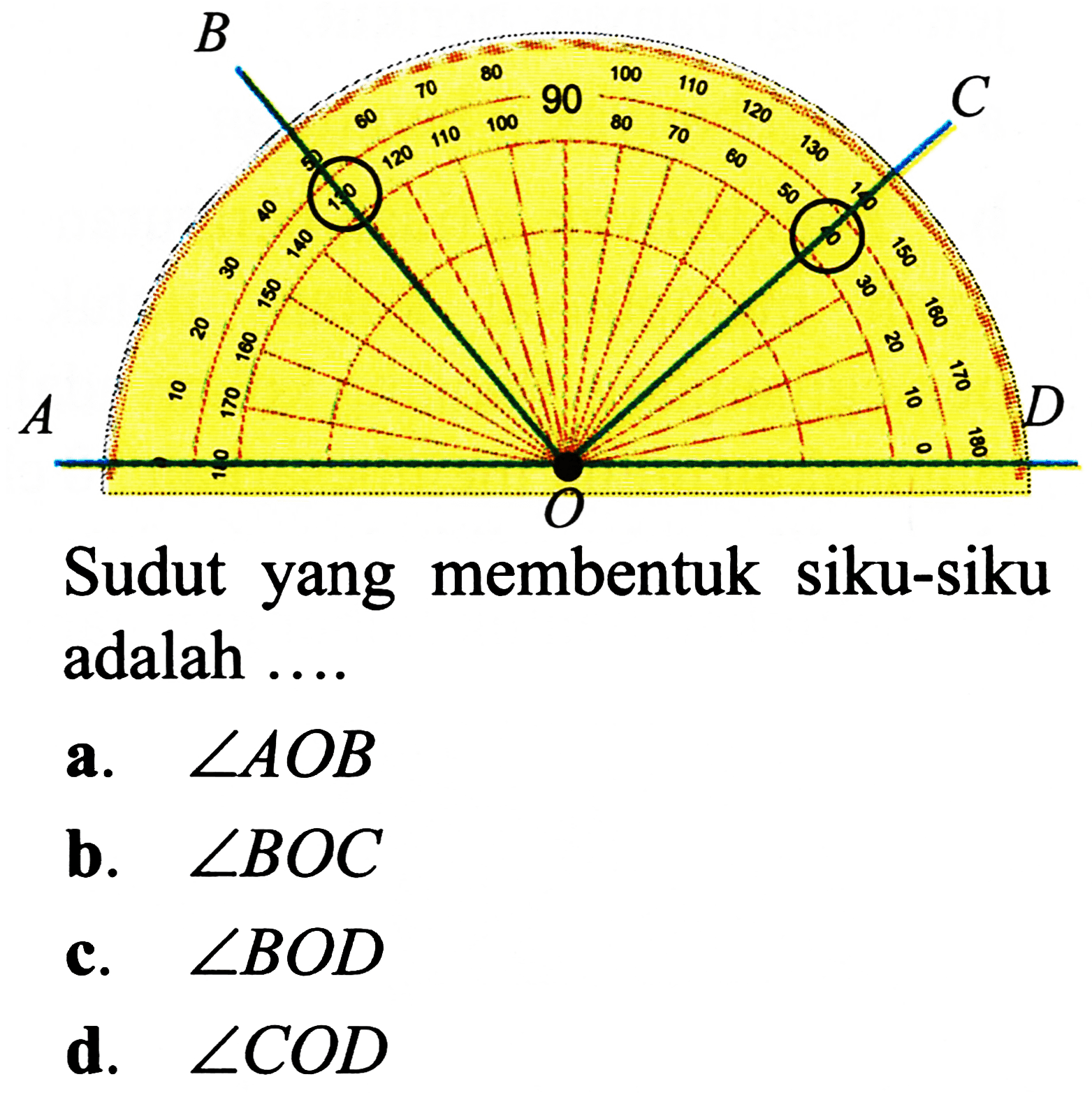 Sudut yang membentuk siku-siku adalah ....
a.  sudut A O B 
b.  sudut B O C 
c.  sudut B O D 
d.  sudut C O D 