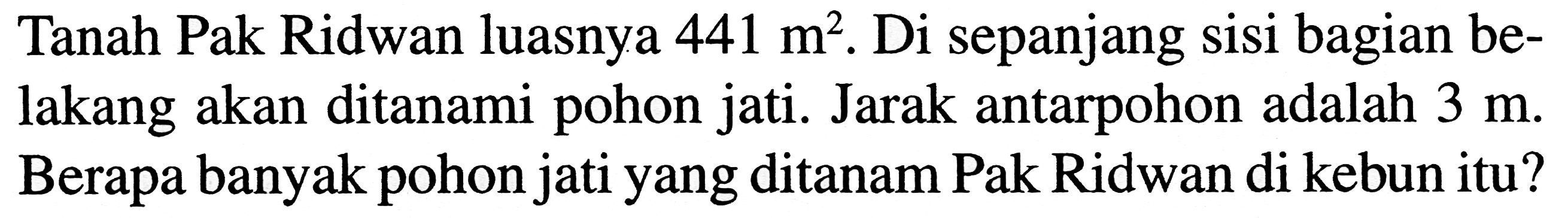 Tanah Pak Ridwan luasnya 441 m^2. Di sepanjang sisi bagian belakang akan ditanami pohon jati. Jarak antarpohon adalah 3 m. Berapa banyak pohon jati yang ditanam Pak Ridwan di kebun itu?