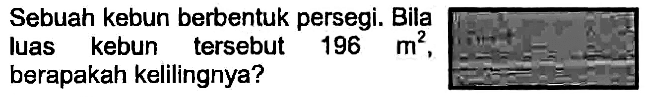 Sebuah kebun berbentuk persegi. Bila Iuas kebun tersebut  196 m^(2) , berapakah kelilingnya?