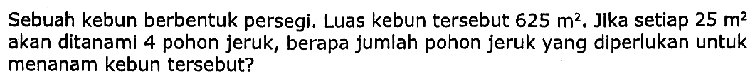 Sebuah kebun berbentuk persegi. Luas kebun tersebut  625 m^2 . Jika setiap  25 m^2  akan ditanami 4 pohon jeruk, berapa jumlah pohon jeruk yang diperlukan untuk menanam kebun tersebut?