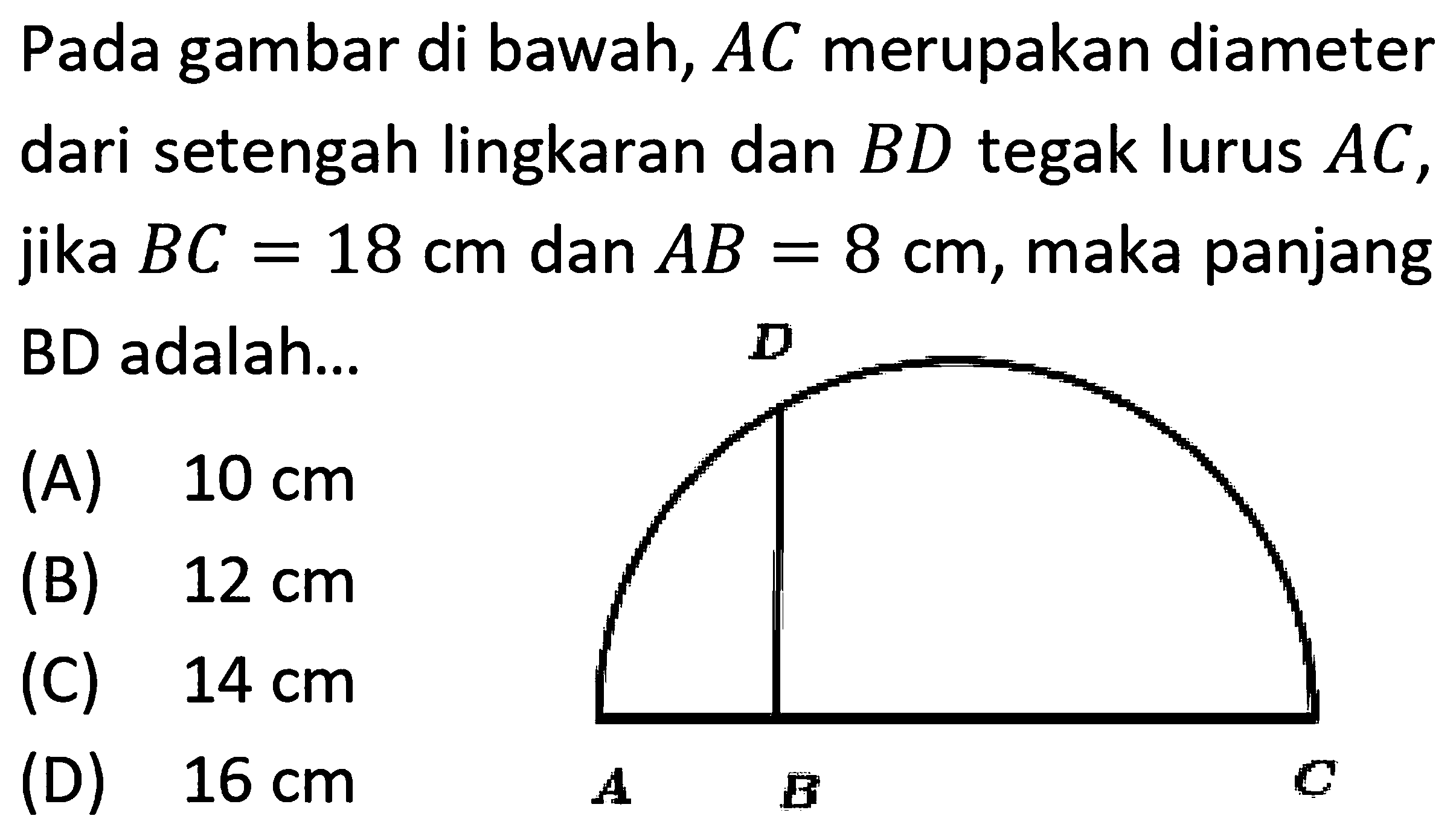 Pada gambar di bawah,  A C  merupakan diameter dari setengah lingkaran dan  B D  tegak lurus  A C , jika  B C=18 cm  dan  A B=8 cm , maka panjang BD adalah...
(A)  10 cm 
(B)  12 cm 
(C)  14 cm 
(D)  16 cm 