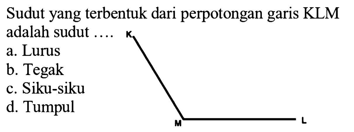 Sudut yang terbentuk dari perpotongan garis KLM adalah sudut .... 
K M L