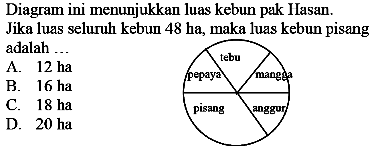 Diagram ini menunjukkan luas kebun pak Hasan. Jika luas seluruh kebun 48 ha, maka luas kebun pisang adalah ... tebu pepaya mangga anggur pisang 