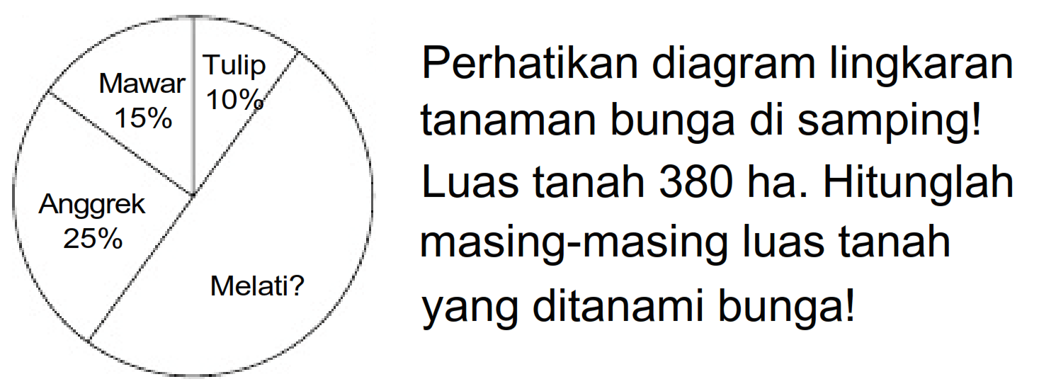 Mawar 15% 
Tulip 10% 
Anggrek 25% 
Melati? 
Perhatikan diagram lingkaran tanaman bunga di samping! Luas tanah 380 ha. Hitunglah masing-masing luas tanah yang ditanami bunga!