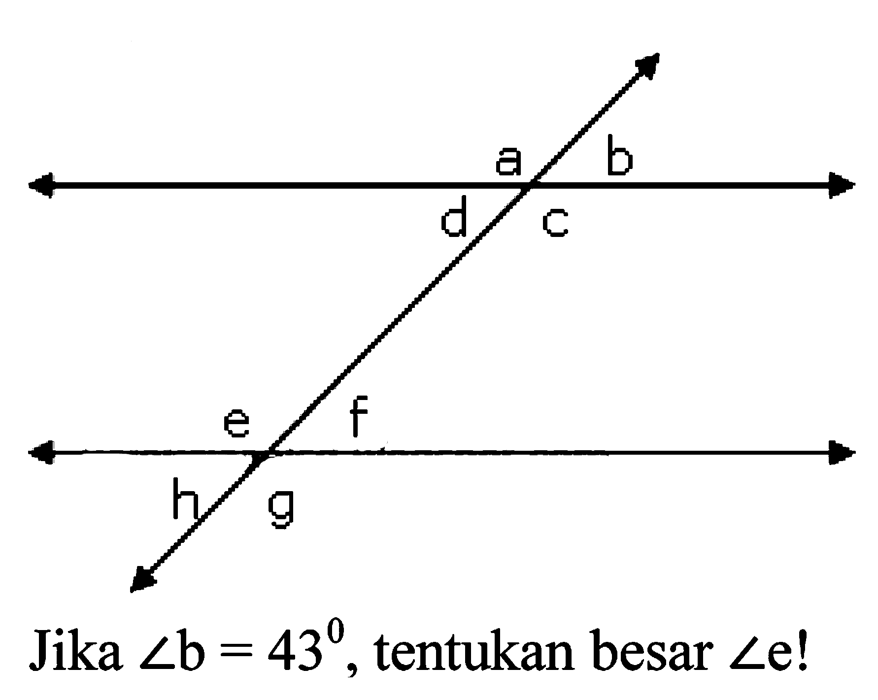 a b c d e f g h Jika sudut b=43, tentukan besar sudut e! 