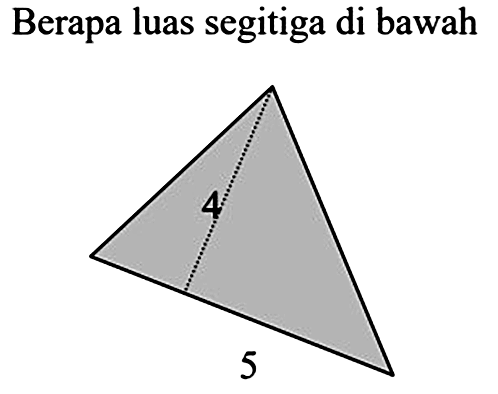 Berapa luas segitiga di bawah