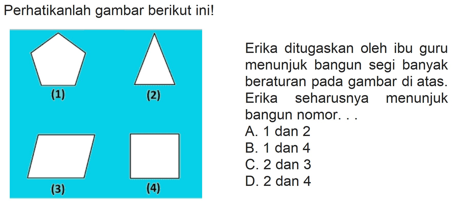 Perhatikanlah gambar berikut ini!
Erika ditugaskan oleh ibu guru menunjuk bangun segi banyak beraturan pada gambar di atas. Erika seharusnya menunjuk bangun nomor. ..
A. 1 dan 2
B. 1 dan 4
C. 2 dan 3
D. 2 dan 4