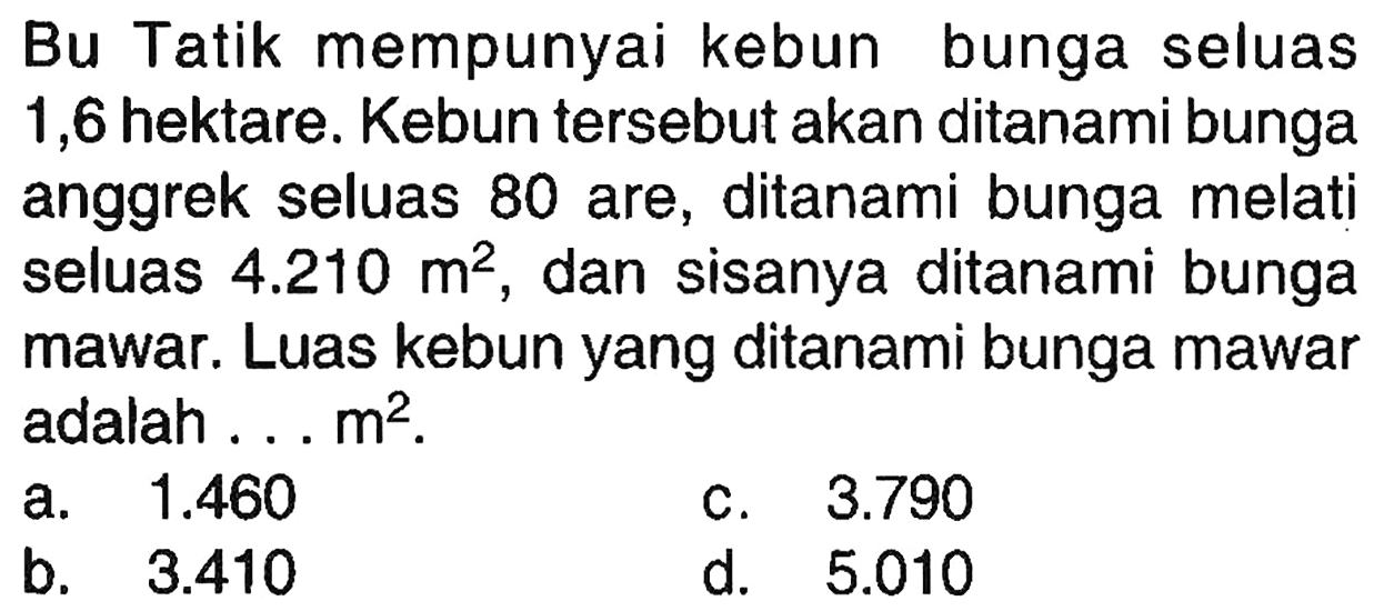 Bu Tatik mempunyai kebun bunga seluas 1,6 hektare. Kebun tersebut akan ditanami bunga anggrek seluas 80 are, ditanami bunga melati seluas  4.210 m^(2) , dan sisanya ditanami bunga mawar. Luas kebun yang ditanami bunga mawar adalah ...  m^(2) .
a.  1.460 
c.  3.790 
b.  3.410 
d.  5.010 