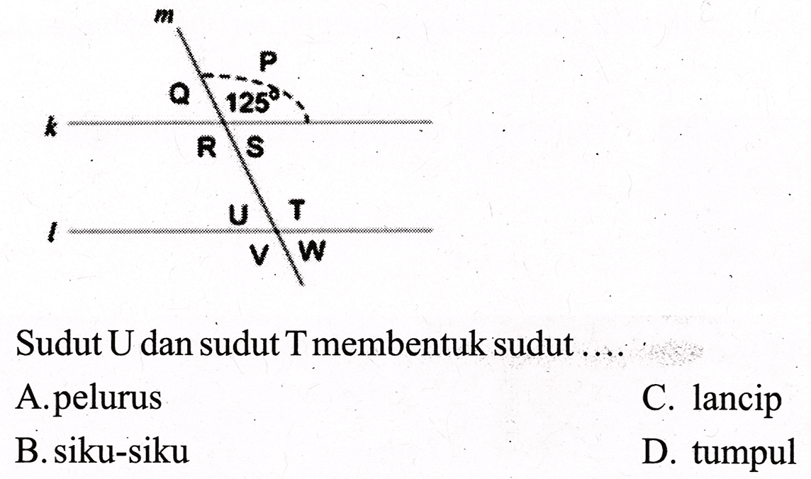 Sudut U dan sudut T membentuk sudut ....
A. pelurus
C. lancip
B. siku-siku
D. tumpul