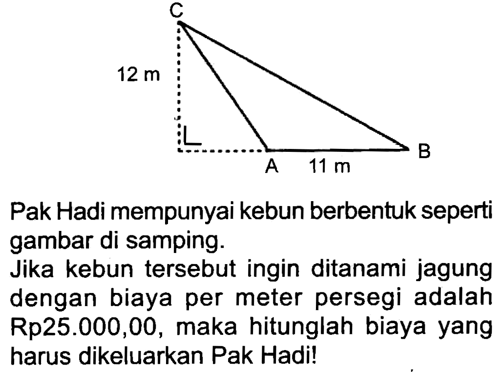 Pak Hadi mempunyai kebun berbentuk seperti gambar di samping.
Jika kebun tersebut ingin ditanami jagung dengan biaya per meter persegi adalah Rp25.000,00, maka hitunglah biaya yang harus dikeluarkan Pak Hadi!