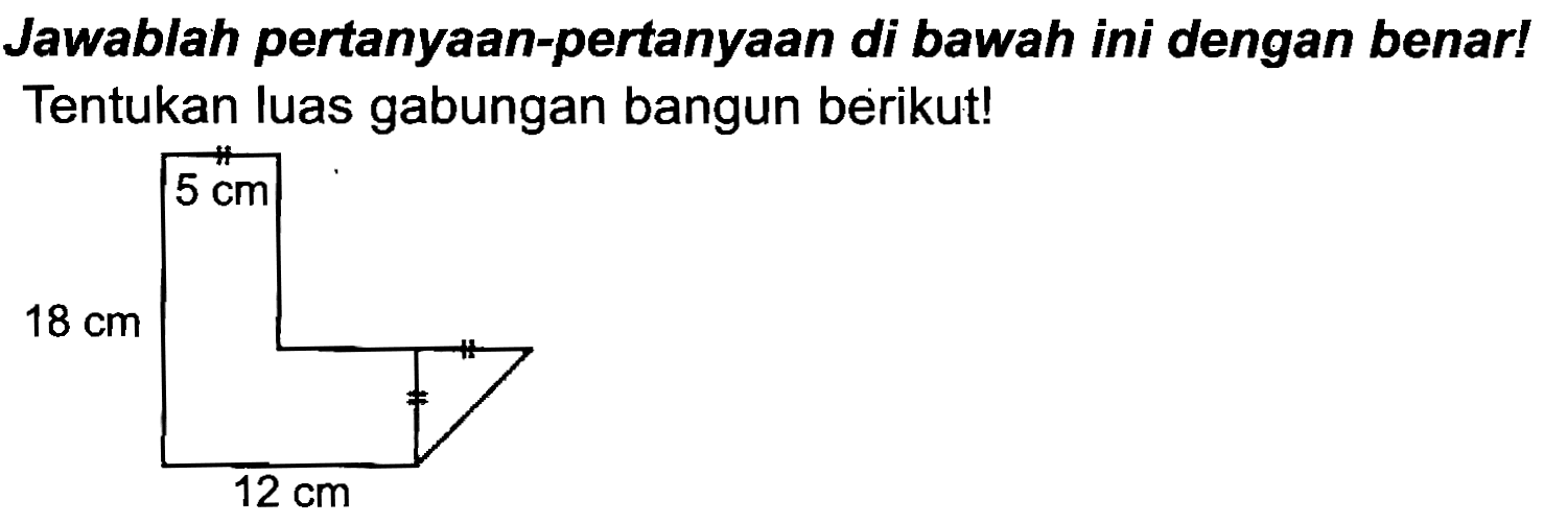 Jawablah pertanyaan-pertanyaan di bawah ini dengan benar! Tentukan luas gabungan bangun berikut!