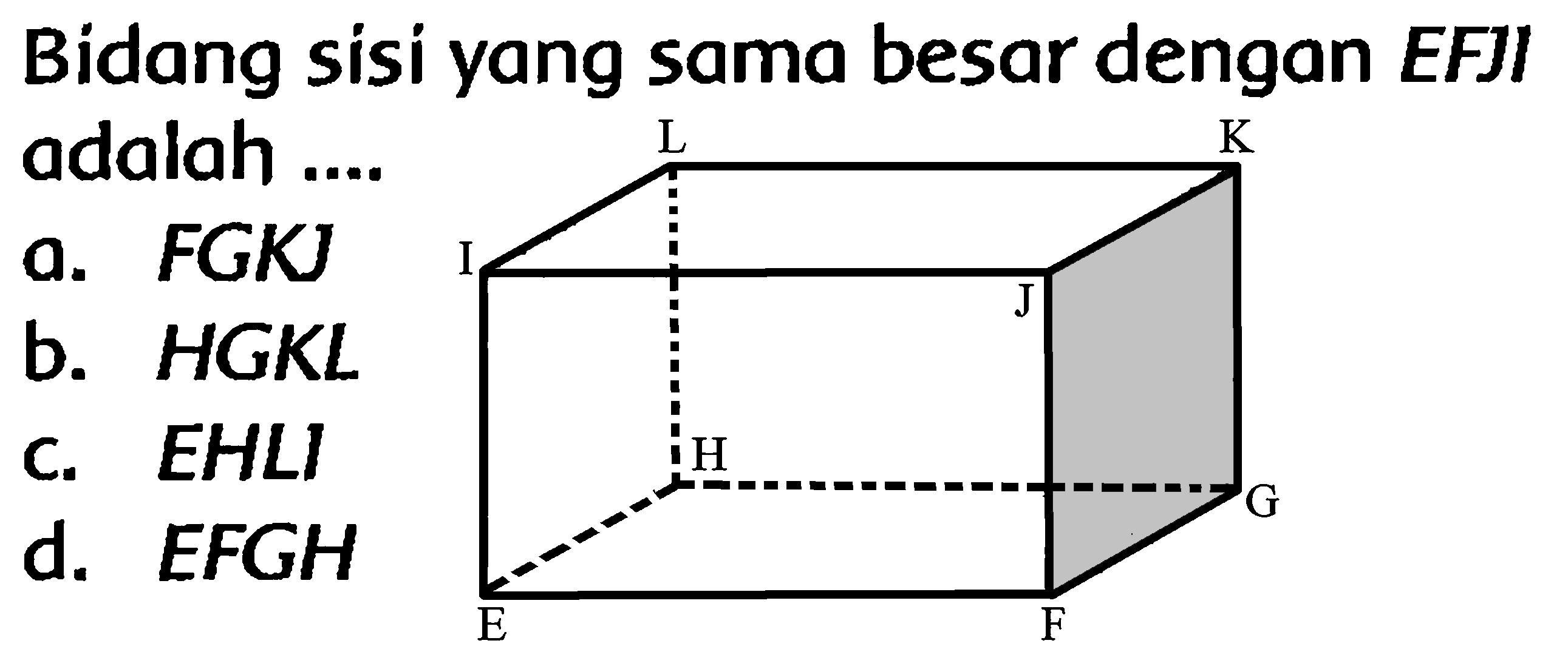 Bidang sisi yang sama besar dengan EFJI adalah ....
a. FGKJ
b. HGKL
c. EHLI
d.  EFGH 