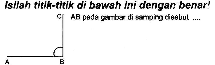 Isilah titik-titik di bawah ini dengan benar! C) AB pada gambar di. samping disebut ....