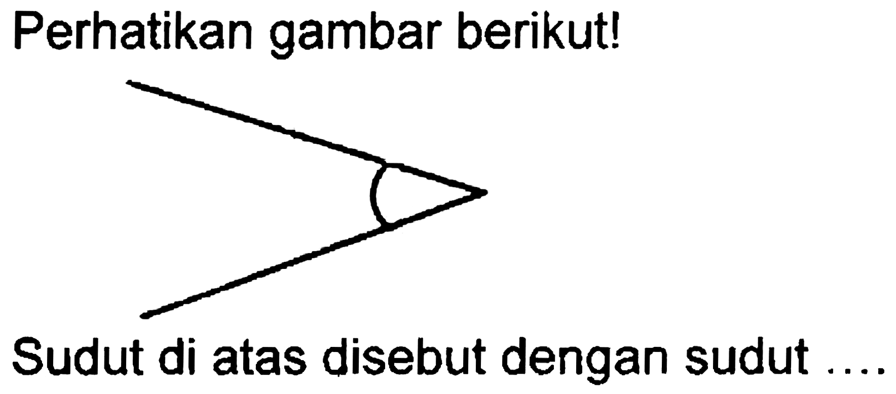 Perhatikan gambar berikut!
Sudut di atas disebut dengan sudut