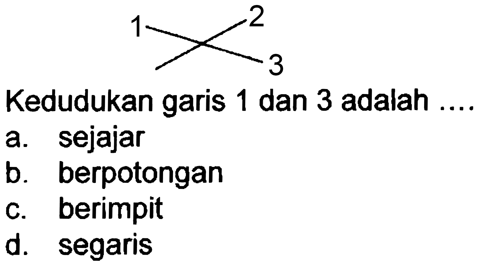 CC(C)(C)I
Kedudukan garis 1 dan 3 adalah
a. sejajar
b. berpotongan
c. berimpit
d. segaris