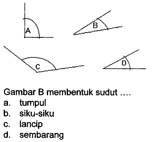 Gambar B membentuk sudut ....
a. tumpul
b. siku-siku
c. lancip
d. sembarang