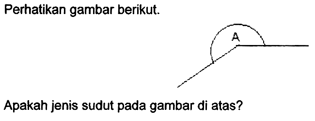 Perhatikan gambar berikut.
Apakah jenis sudut pada gambar di atas?