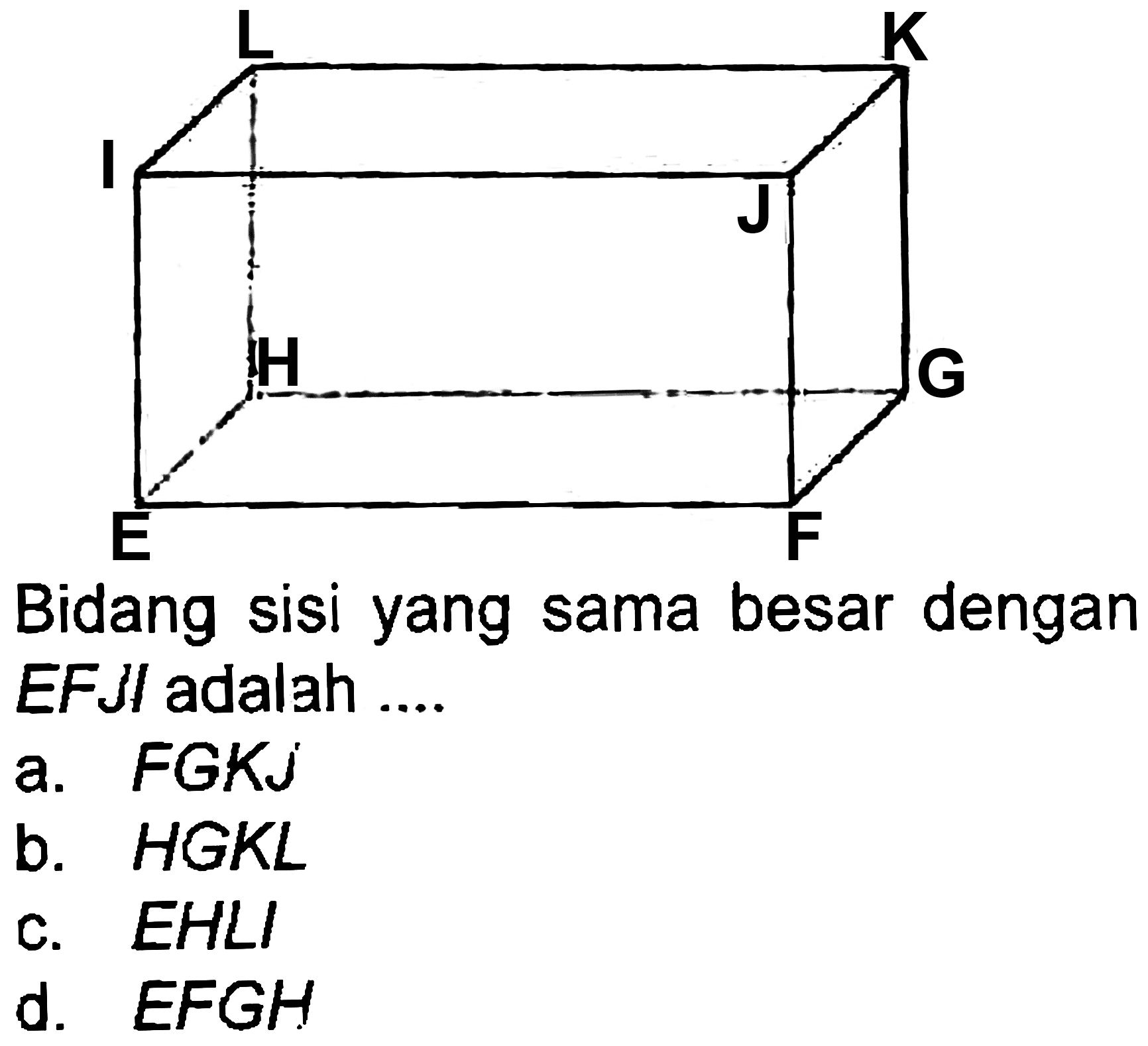 Bidang sisi yang sama besar dengan EFJI adalah ....
a. FGKJ
b. HGKL
c.  E H L I 
d.  E F G H 