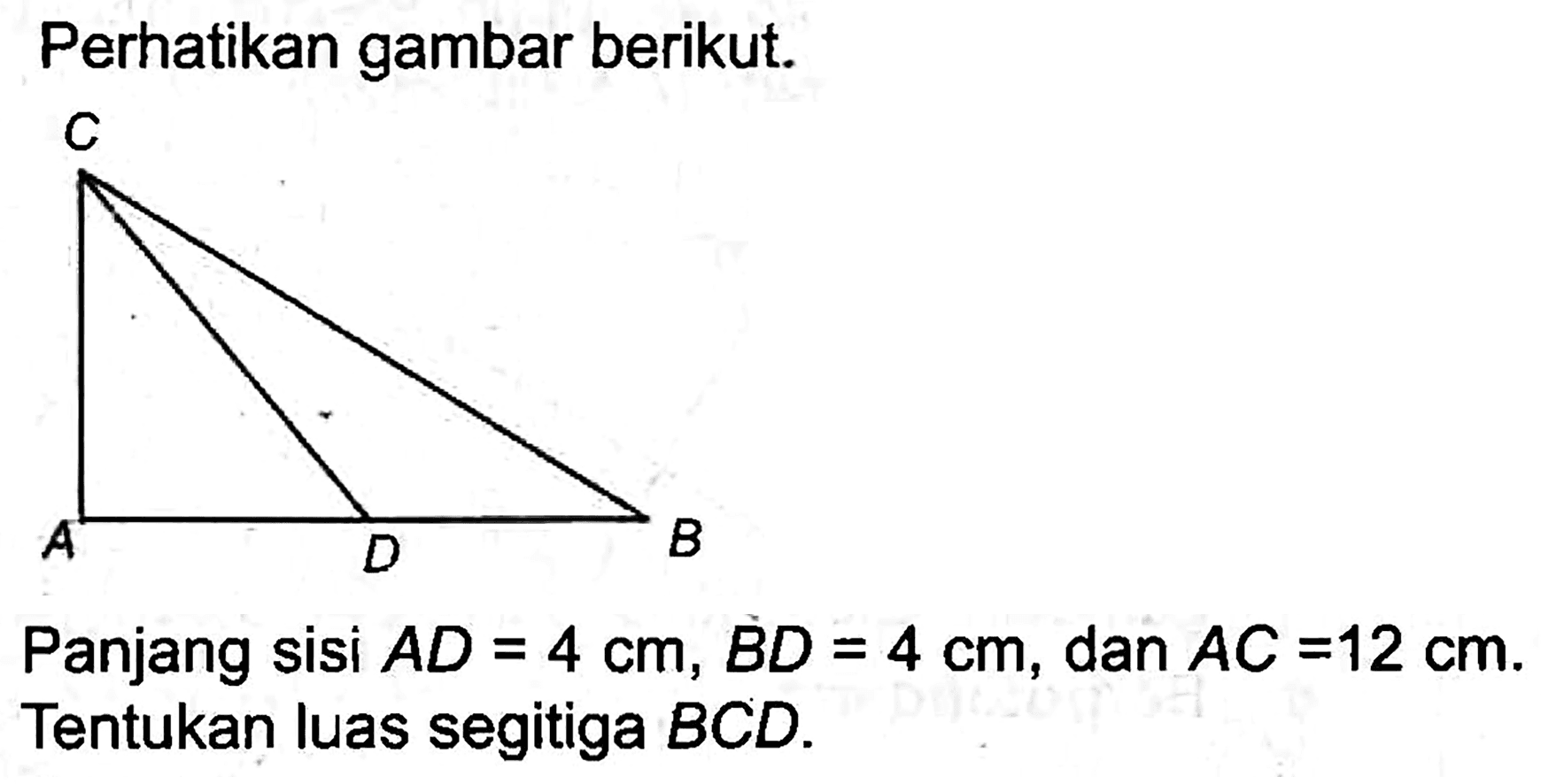 Perhatikan gambar berikut.
Panjang sisi  A D=4 cm, B D=4 cm , dan  A C=12 cm . Tentukan luas segitiga  B C D .